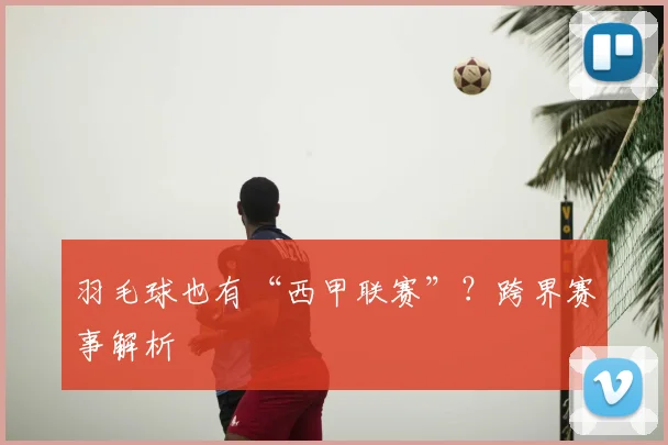 羽毛球也有“西甲联赛”？跨界赛事解析